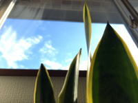 ����s����